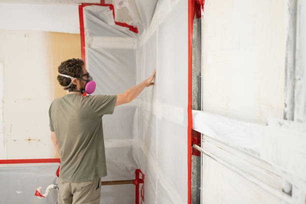 Mold Documentation for Insurance Claims in Albany, MN
