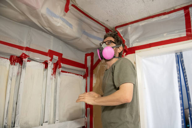 Best Crawl Space Mold Remediation  in Albany, MN
