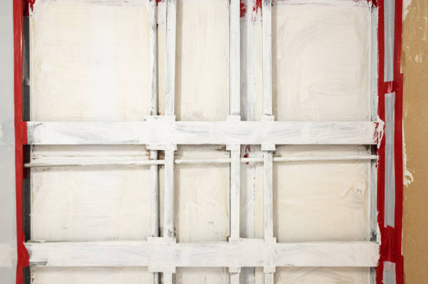 Best Residential Mold Inspection & Testing  in Albany, MN