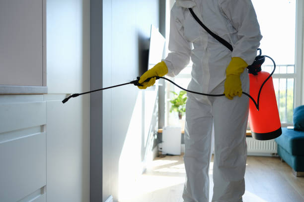 Best Commercial Mold Inspection  in Albany, MN