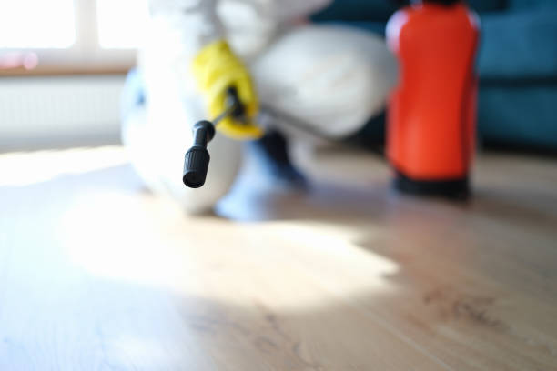 Best Real Estate Mold Inspection  in Albany, MN