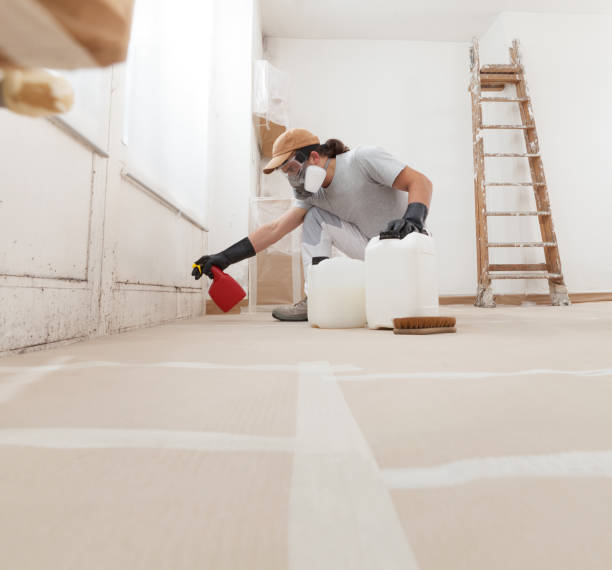 Best Biohazard Mold Removal  in Albany, MN
