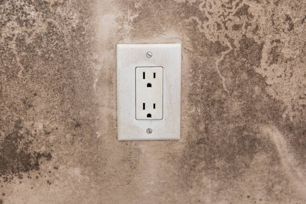 Best Air Quality Testing for Mold Spores  in Albany, MN
